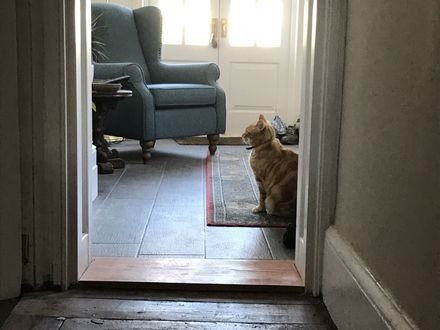 Original floorboards and skirting restored in a period property
